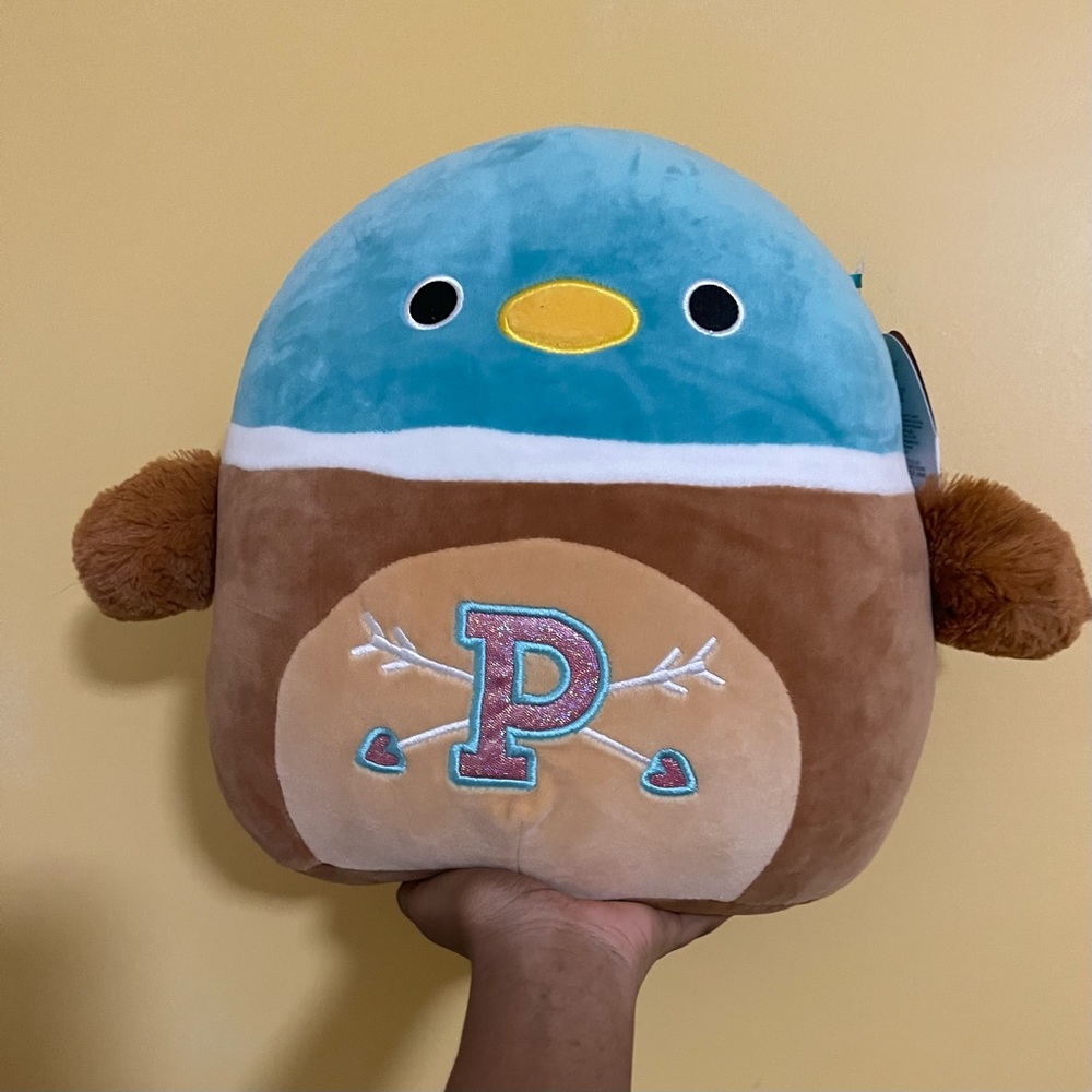 Daska the 11” mallard duck - Squishmallow